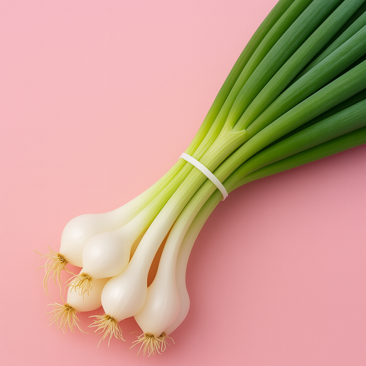 Spring Onion (bunched)
