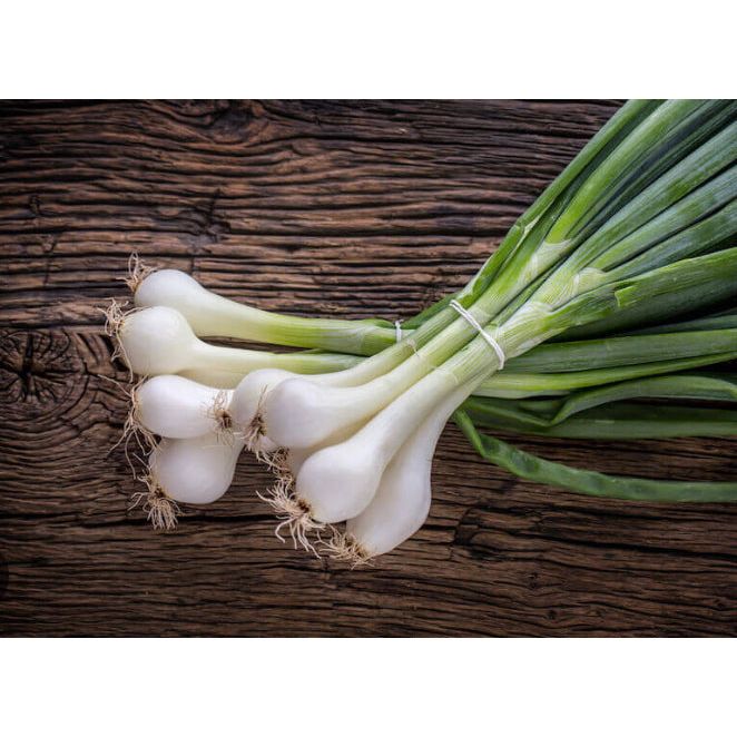 Spring Onion (bunched)